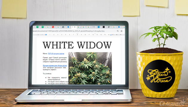 Гроурепорт сорта White Widow fem от GHS