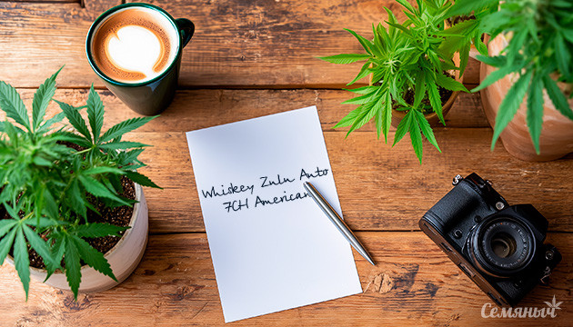 Гроурепорт сорта Whiskey Zulu Auto от 7CH American