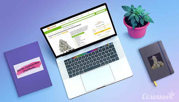 Гроурепорт сорта Gorilla Cookies Auto