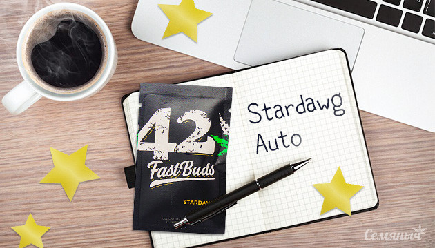 Гроурепорт сорта Stardawg Auto